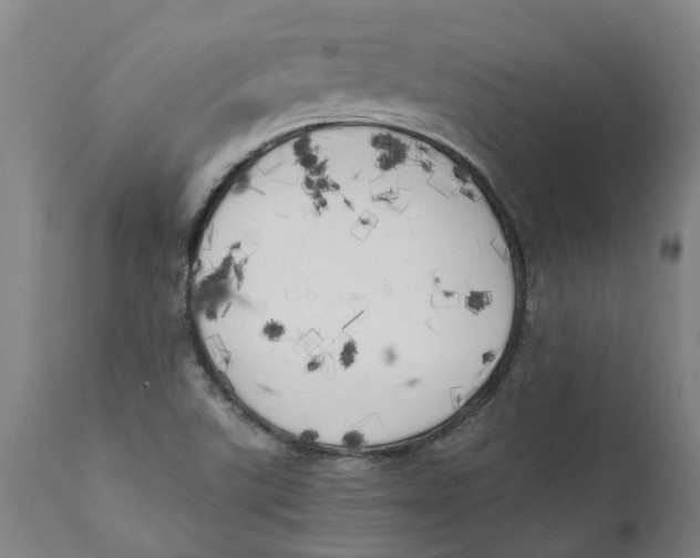 X0000111151507200907211150