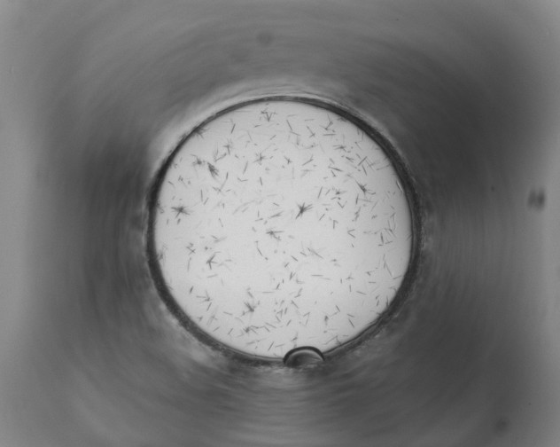 X0000111151508200907211150