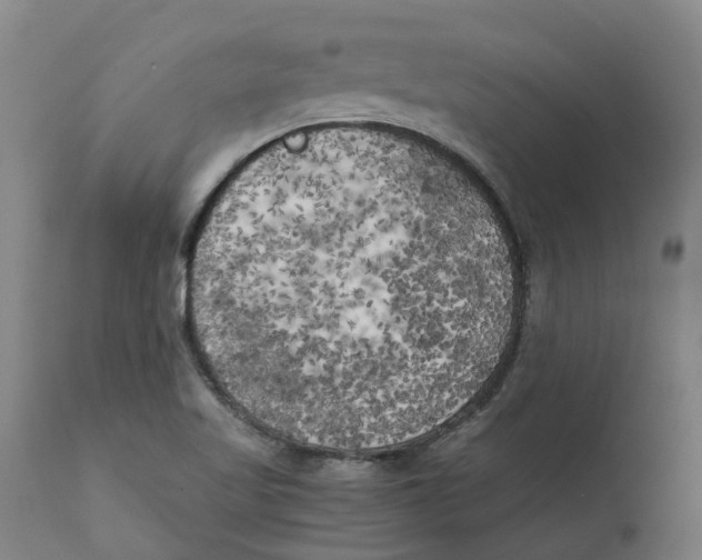 X0000111151509200907211150