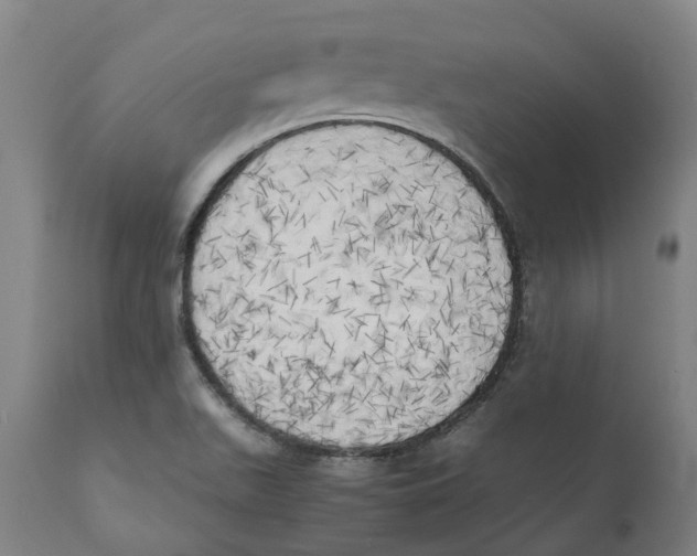 X0000111151511200907211150