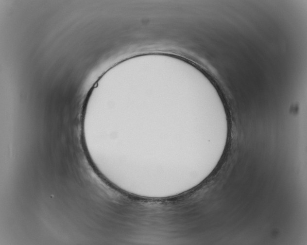 X0000111151512200907211150
