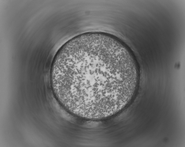 X0000111151513200907211150