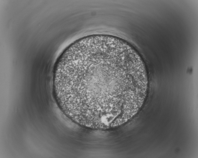 X0000111151514200907211150