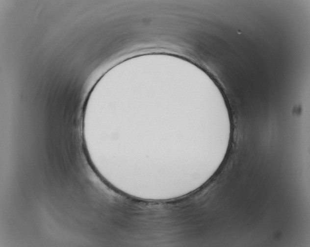 X0000111151516200907211150