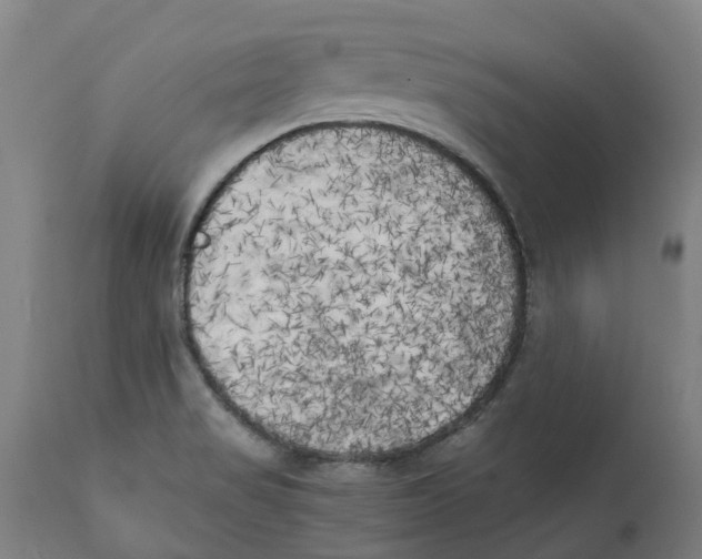 X0000111151517200907211150