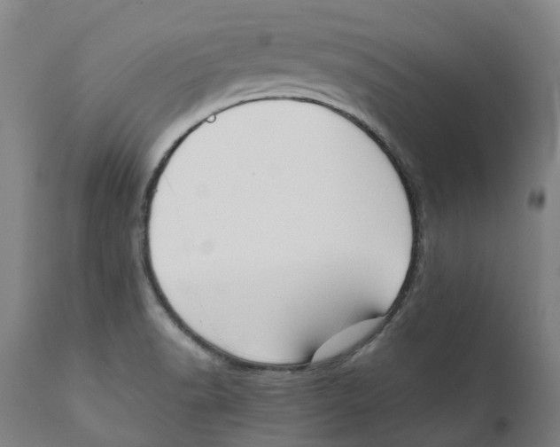 X0000111151518200907211150
