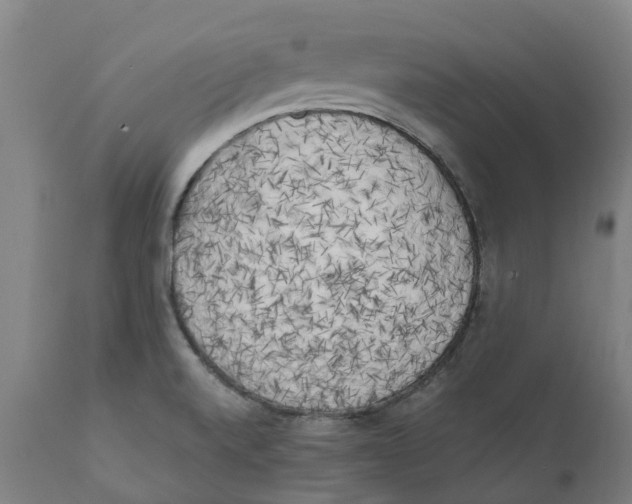 X0000111151520200907211150
