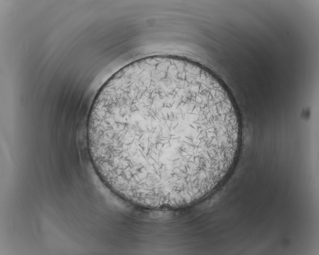 X0000111151521200907211150