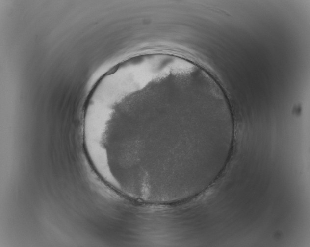 X0000111151522200907211150