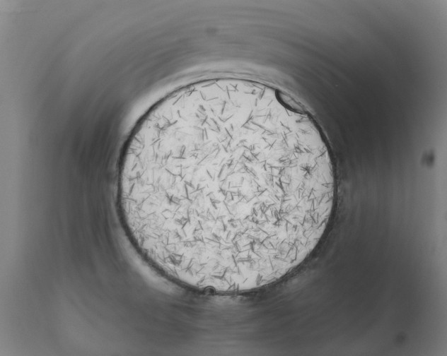 X0000111151523200907211151