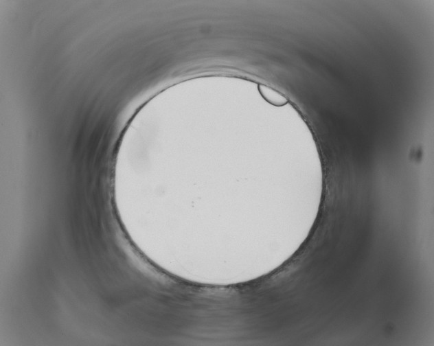 X0000111151526200907211151