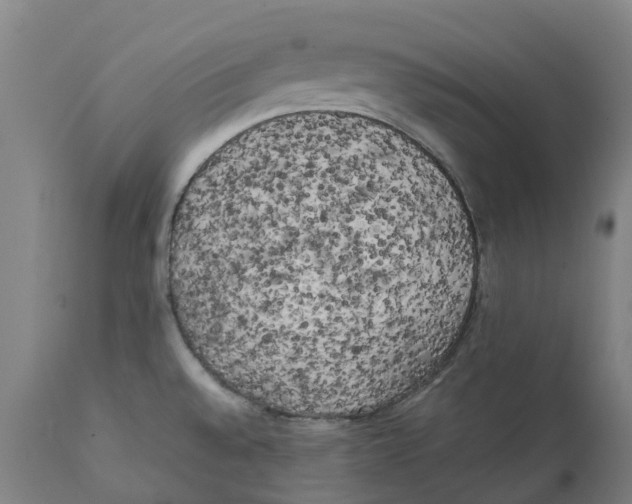 X0000111151528200907211151
