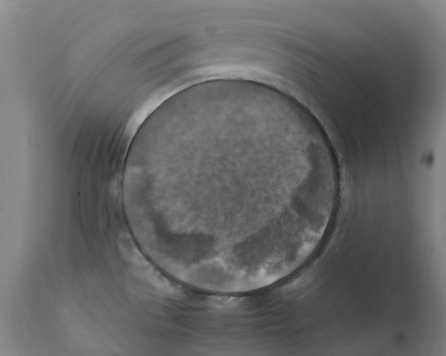 X0000111151529200907211151