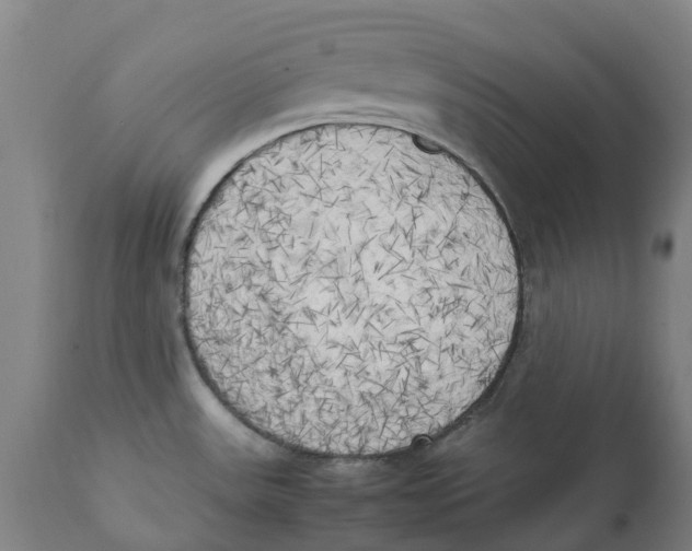 X0000111151531200907211151