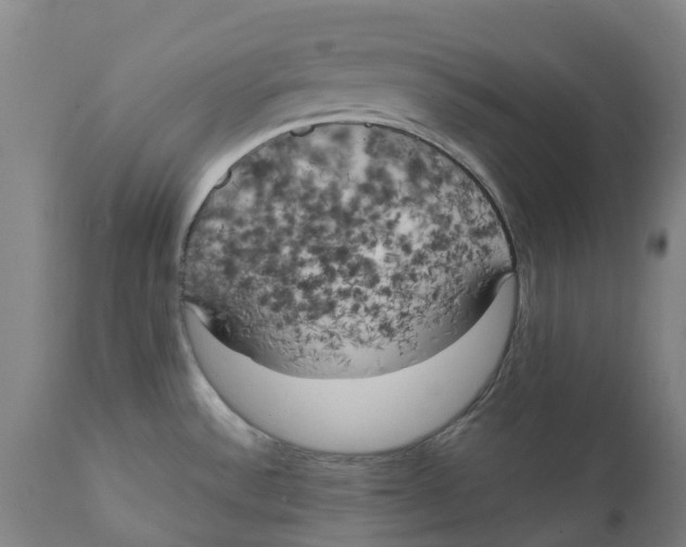 X0000111151532200907211151