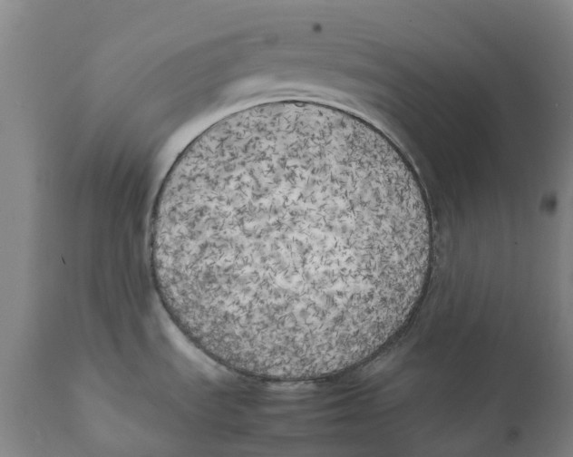 X0000111151535200907211151