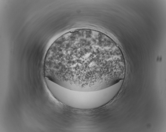 X0000111151536200907211151