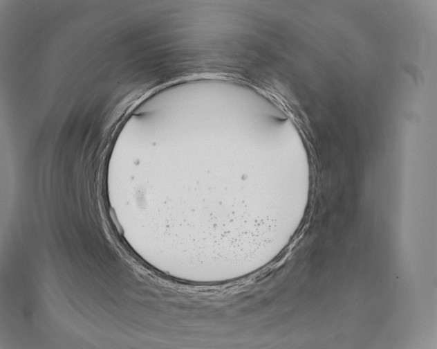 X0000111150001200907281142