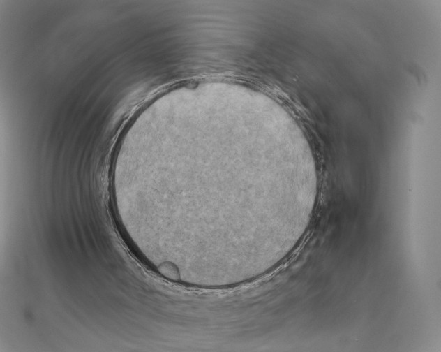 X0000111150002200907281142