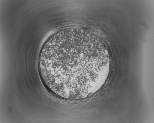 X0000111150003200907281142