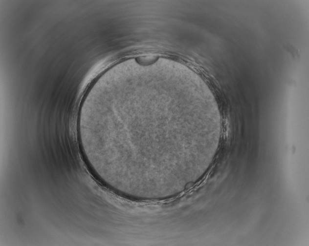 X0000111150004200907281142