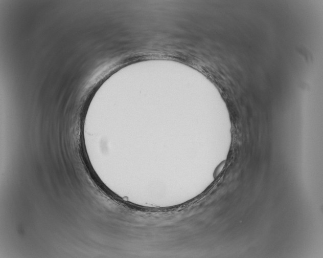 X0000111150005200907281142