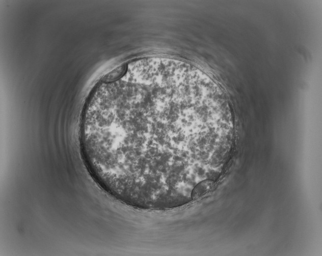 X0000111150007200907281142