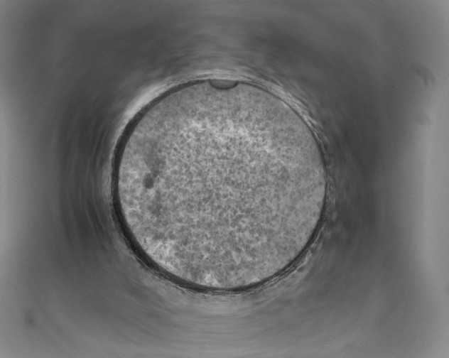 X0000111150008200907281142