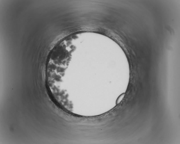 X0000111150011200907281142