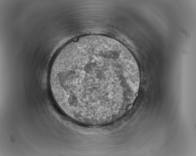 X0000111150012200907281142