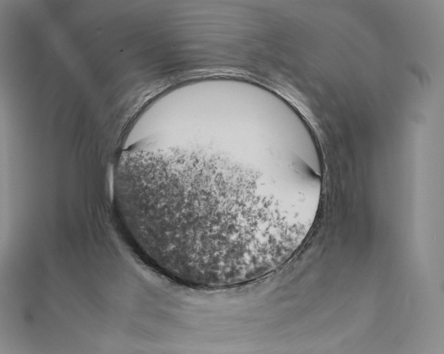 X0000111150013200907281142