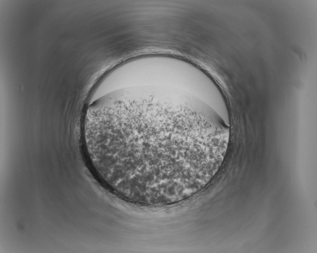 X0000111150015200907281142