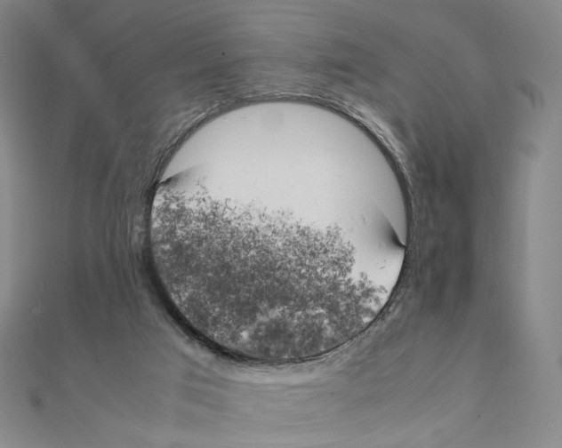 X0000111150017200907281142