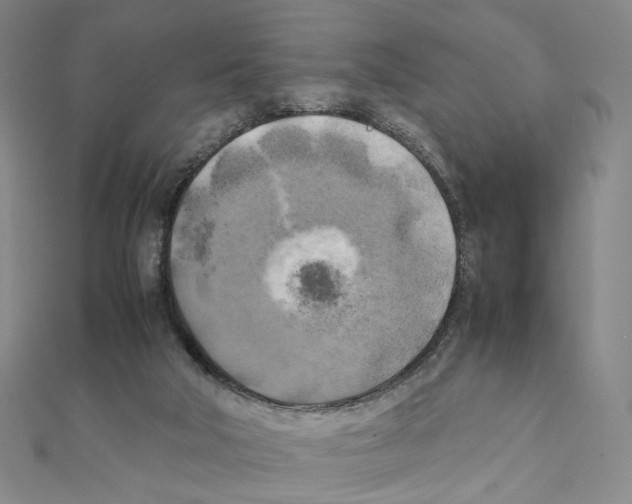 X0000111150018200907281142