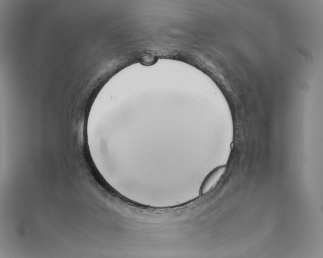 X0000111150019200907281142