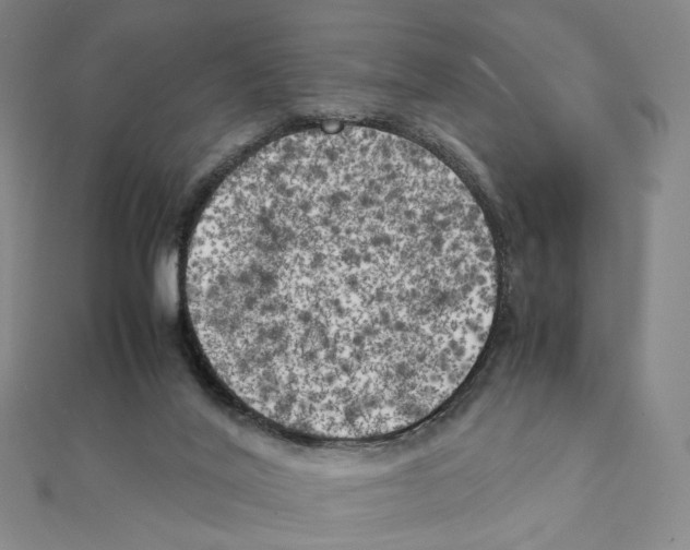 X0000111150020200907281142