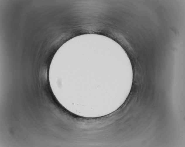 X0000111150021200907281142