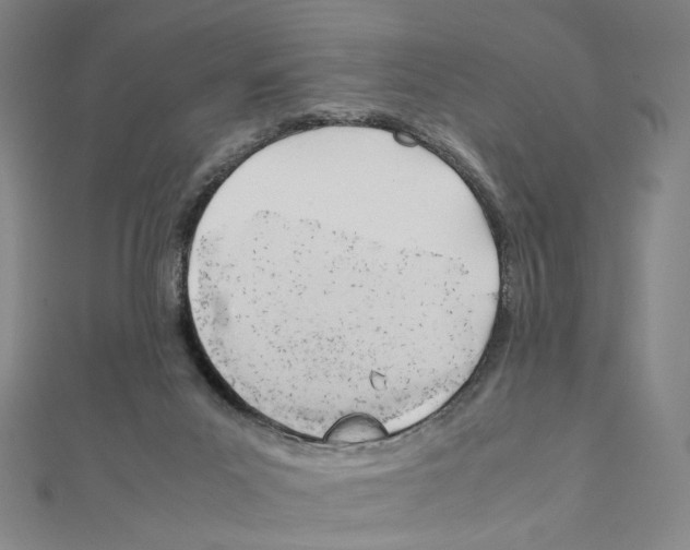 X0000111150023200907281142