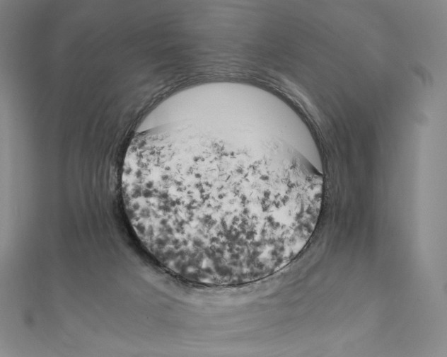 X0000111150025200907281141