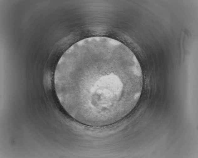 X0000111150026200907281141