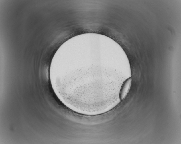 X0000111150027200907281141