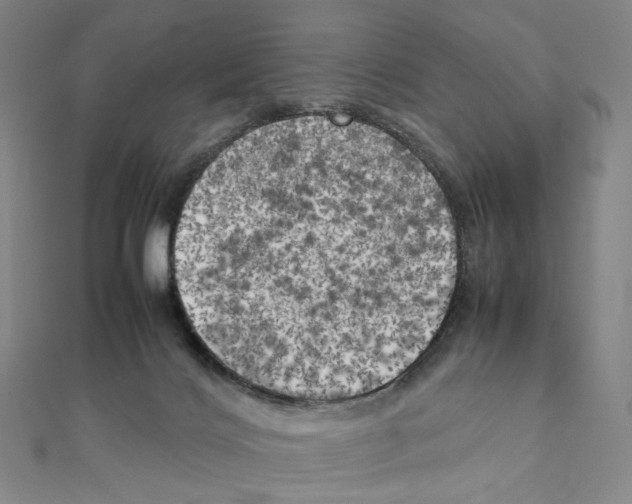 X0000111150028200907281141