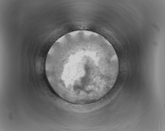 X0000111150030200907281141