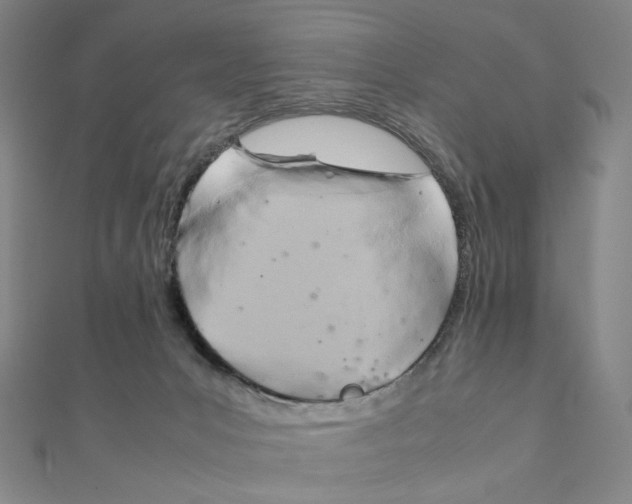 X0000111150031200907281141