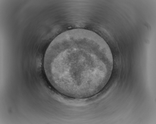 X0000111150032200907281141