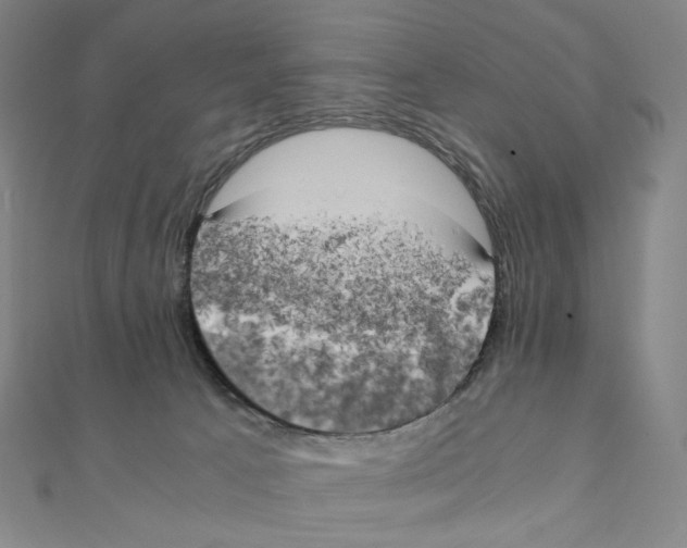 X0000111150033200907281141