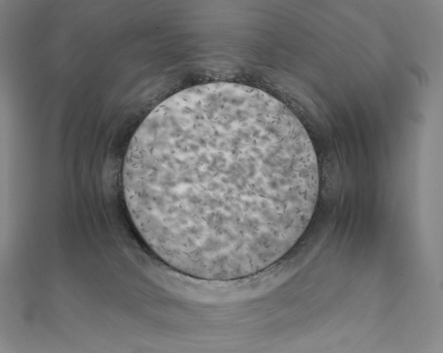 X0000111150034200907281141