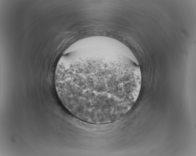 X0000111150035200907281141