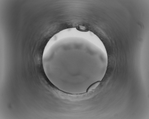 X0000111150039200907281141