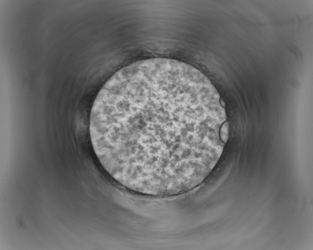 X0000111150040200907281141